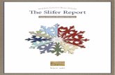 Summit County Slifer Report 2008