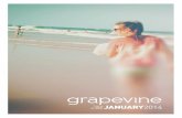 Gateway Grapevine January 2014