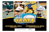 2013 GHSA Volleyball State Championship