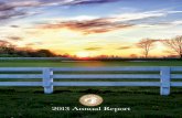The 2013 New Albany Annual Report