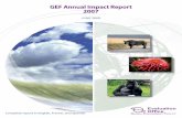 GEF Annual Impact Report 2007