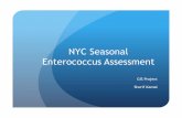 NYC Seasonal Enterococcus Assessment