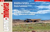 Argentina potencial minero en desarrollo