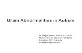 Brain Abnormalities Dr. Rajakumar CME Presentation 2010