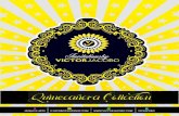 Quinceañera Invitation Collection