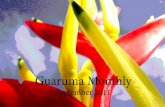 Guaruma Monthly September 2011