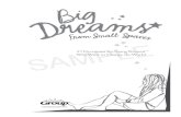 Big Dreams From Small Spaces- Sample Chapter