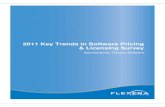 2011 Key Trends in Software Pricing & Licensing Survey