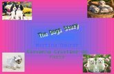 the dogs story