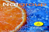 Natgroup Magazine July 2013