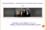 Personal Injury Lawsuit Guidelines by Santana Kortum