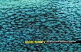 Biomimicry Group - MidSem EOI Presentation