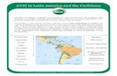 AVSI in Latin America