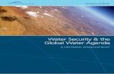 Water Security & the Global Water Agenda