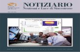 NOTIZIARIO Neutroni e Luce di Sincrotrone - Issue 11 n.2, 2006