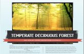 Deciduous Forest Brochure part 1
