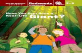 Grades 3-5: Have You Ever Seen a Real-Life Giant?