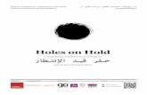 Holes on Hold - Competition Brief