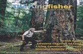 Kingfisher Magazine