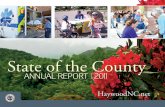 Haywood County Annual Report