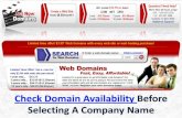 Check Domain Availability