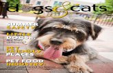 Texas Dogs & Cats July 2012