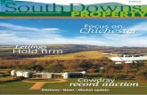 South Downs Property