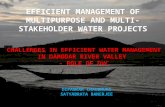 CHALLENGES IN EFFICIENT WATER MANAGEMENT IN DAMODAR RIVER VALLEY - ROLE OF DVC