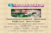 Hays Online Embryo Auction