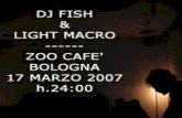 dj fish & light marco allo zoo cafè di bologna