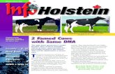 Info Holstein Feb-March 2009