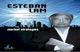 Cv Esteban Lam