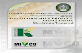 arnon-arti3314-101-final project-mico corn milk