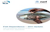 Fish dependence - 2011 update: The increasing reliance of the EU on fish from elsewhere