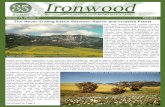 Ironwood ~ Fall 2011