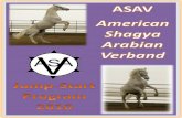 ASAV 2010 Shagya-Arabian Jump-Start Program
