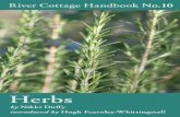 Herbs: River Cottage Handbook No.10 by Nikki Duffy