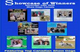 Showcase of winners December 14th 2010