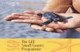 GEF SGP 10 Year Report