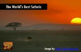 The World's Best Safaris