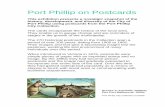 Port Phillip on Postcards