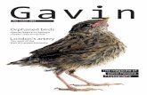 Gavin magazine issue 1
