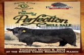 Spring Creek "In Pursuit of Perfection" Bull Sale