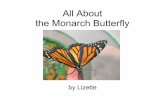 Lizette - Monarch Butterfly
