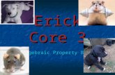 E.R. Core 3