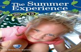 The Summer Experience 2013
