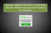 Thirsty Affiliates Wordpress Plugin Review: A Handy Affiliate Management System