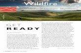 Wildfire Issue 6