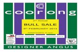 2013 Bull Sale Catalogue