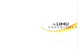 Limu - Experience IT - To...